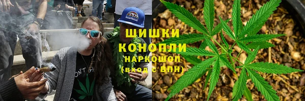 бошки Надым