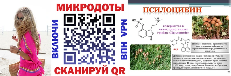 Купить закладки  Магнитогорск  Псилоцибиновые грибы Psilocybe 